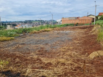 Terreno - Venda - Luis Carlos Paran - Ribeiro Claro - PR