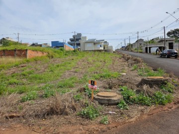 Terreno - Venda - Luis Carlos Paran - Ribeiro Claro - PR