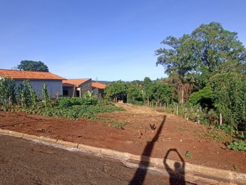 Terreno - Venda - Vila Oswaldo Giacoia - Ribeiro Claro - PR